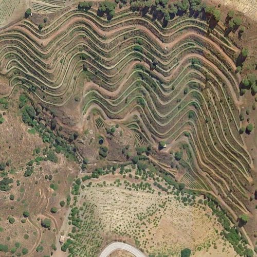 Vista de pájaro de los Viñedos Ecológicos de Ca l'Apotecari de Porrera España Vino Tinto Triaca 'Los Peres' y 'Les Eres' Edición Limitada