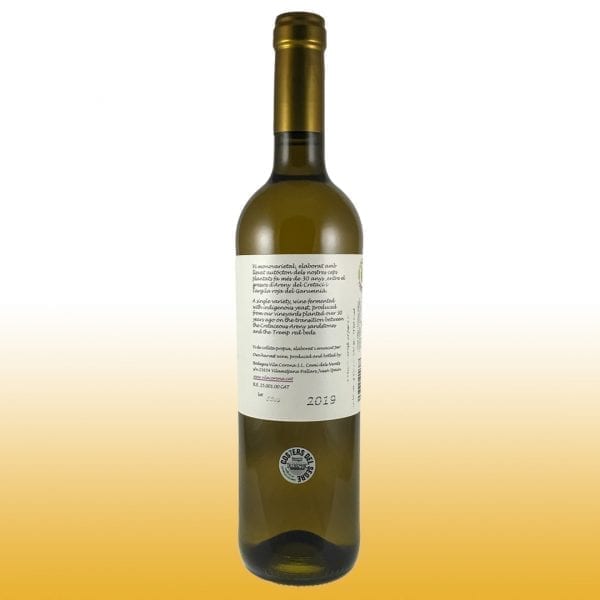 Vino Blanco Llabustes Riesling 2019 - Bodega Vila Corona - Vino de la localidad D.O. Costers del Segre, Uvas utilizadas Riesling 12,5% VOL, Numeradas, Fermentación natural en Barricas de Roble 40 + 20 días 04