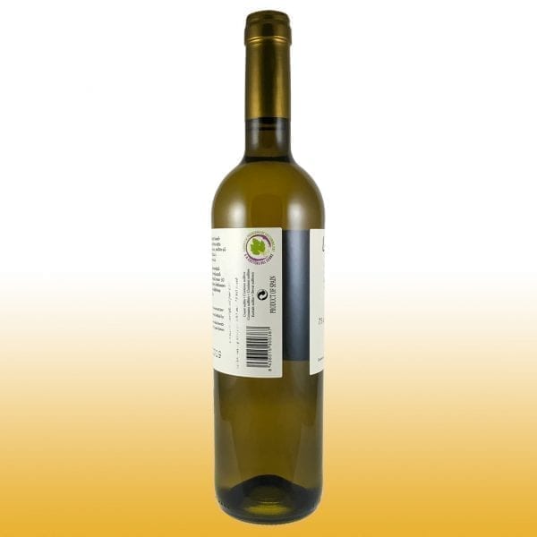 Vino Blanco Llabustes Riesling 2019 - Bodega Vila Corona - Vino de la localidad D.O. Costers del Segre, Uvas utilizadas Riesling 12,5% VOL, Numeradas, Fermentación natural en Barricas de Roble 40 + 20 días 05