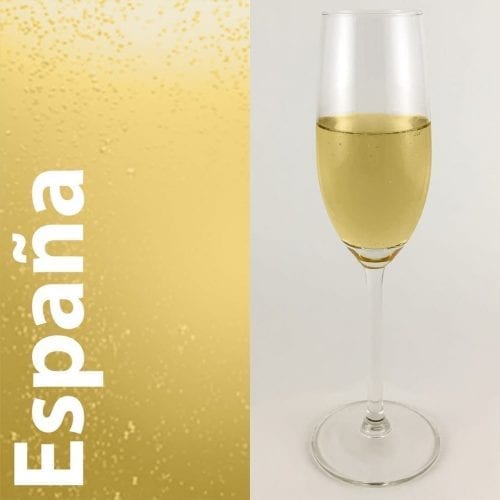 De Cava Wijn Spanje Categorie is een selectie Spaanse Wijnen van Topkwaliteit, Kleine Wijngaarden, Biologisch, Limited Edition, Online Gastronomische Wijnbar, Wijnkelder. Spaanse wijnspecialist