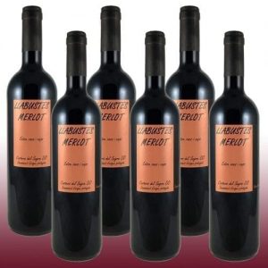 Vino Tinto Llabustes Merlot 2017 - Bodega Vila Corona - Vino de la localidad D.O. Costers del Segre, Uvas utilizadas: Merlot 100% 14% VOL, Fermentación natural, Crianza: Doce Meses en Barricas de Roble Americano 6 botellas r