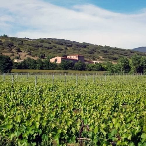 Winery Vila Corona Bodega Winery Fields. I Love Great Wines Spanish Wine Specialist, Traditional, Sustainable, Ecological