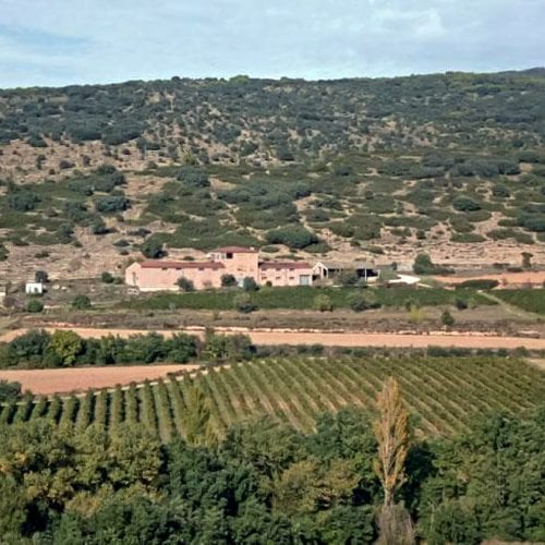 Winery Vila Corona Bodega and Winery fields. I Love Great Wines Spanish Wine Specialist, Traditional, Sustainable, Ecological