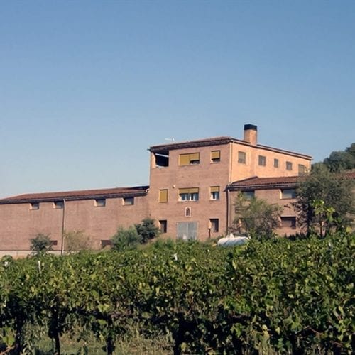 Winery Vila Corona Bodega. I Love Great Wines Spanish Wine Specialist, Traditional, Sustainable, Ecological